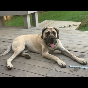 Meet your Posher, Mark